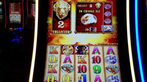 Buffalo Gold Slot Machine Bonus Win Live Play 3 Bet Youtube