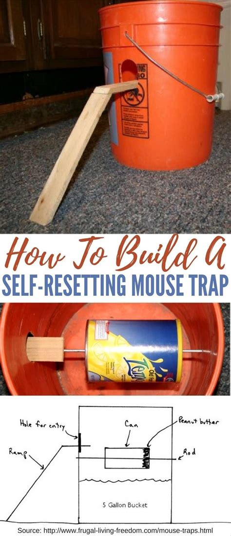 How To Build A Self Resetting Mouse Trap These Gallon Bucket Mouse Traps Are Mouse Traps