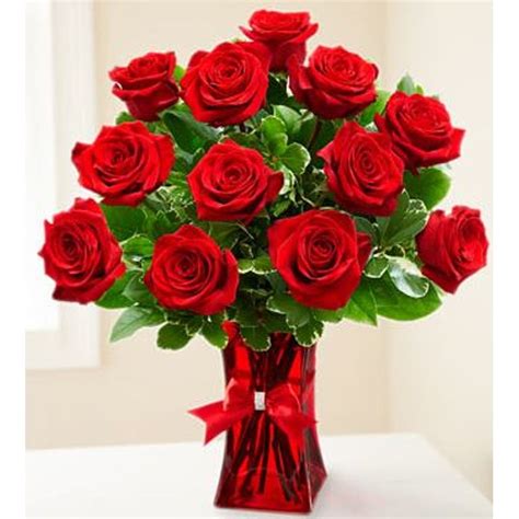 1 Dozen Red Rose Bouquet Tampa Florists New Tampa Flowers