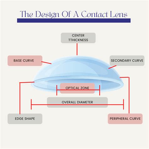 Basic Contact Lens Terminology Diagram Quizlet
