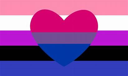 Pride Bisexual Flag Genderfluid Flags Combo Gender