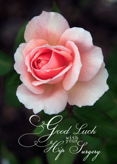 good luck   hip surgery pink rose card ad