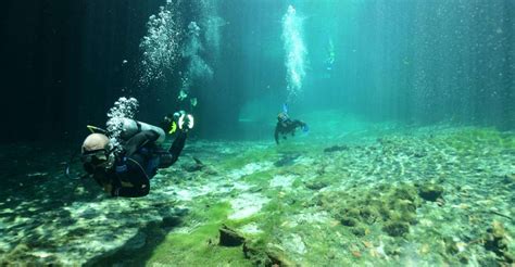 Tulum Scuba Diving In Cenotes Getyourguide