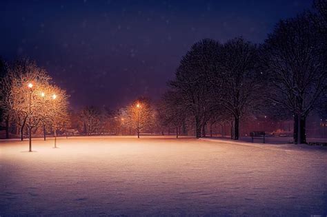 Premium Photo Winter Evening Park With The Light Of Street Lamps Snow
