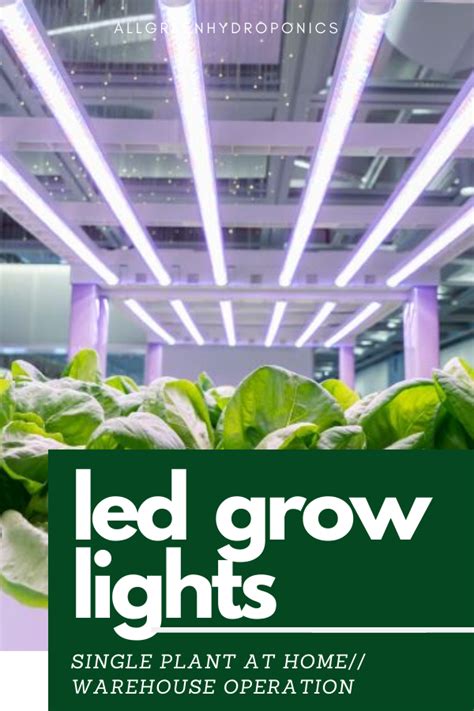 They need the appropriate spectrum of light, he explains, adding that plants are actually quite choosy in this regard. LED GROW LIGHTS - FOR HOME OR BUSINESS | Led grow lights ...