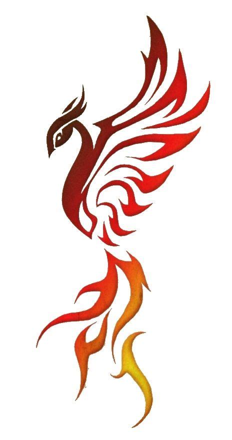 See more ideas about phoenix tattoo, phoenix tattoo design, tattoo designs. color phoenix trimmed | Phoenix tattoo, Bird drawings ...