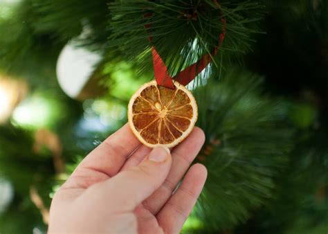How To Make “stained Glass” Dried Citrus Slice Ornaments • Sara Laughed