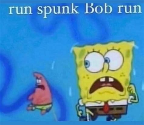 Run Spunk Bob Run Ifunny