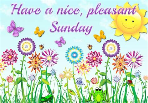 Have A Nice Pleasant Sunday Sunday Quotes Pinterest Sunday