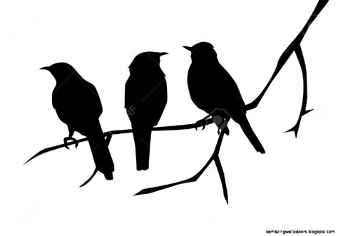 Bird On A Branch Silhouette Amazing Wallpapers