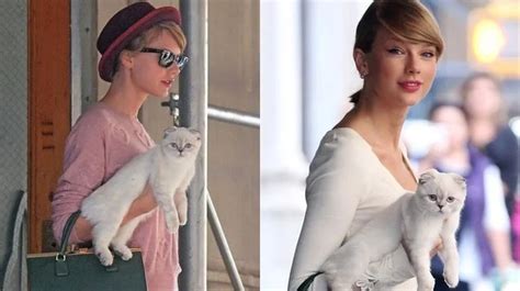 Taylor Swifts Cat Olivia Benson Boasts Higher Net Worth Than Travis Kelce