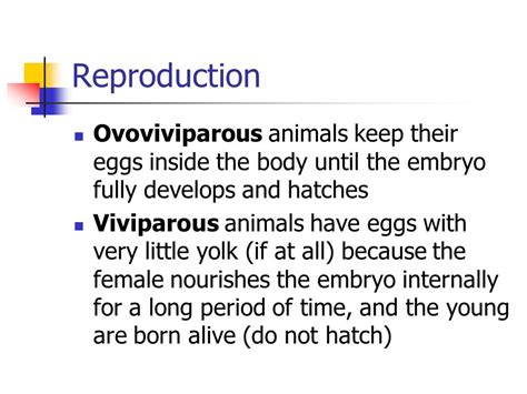 Top 116 Oviparous Animals Definition