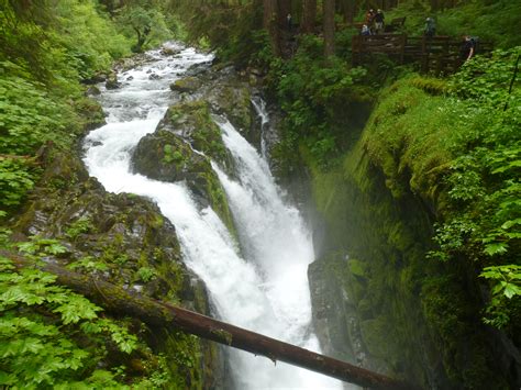 Hiking Olympic National Park Sol Duc Falls Trail Park Chasers
