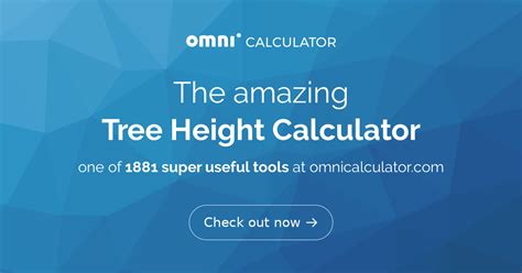 Tree Height Calculator - Find the Height of a Tall Object!