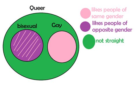 What Is The Meaning Of Queer In Terms Of Sexual Orientation What Is