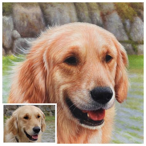 One Of My Oil Painting Of A Golden Retriever Would Love To Hear Your