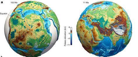 Rosa Rubicondior Creationism In Crisis Scientists Show How A Dynamic