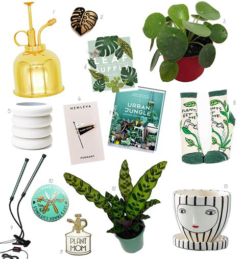 Maybe you would like to learn more about one of these? gift guide for plant lovers! - THE DAINTY SQUID