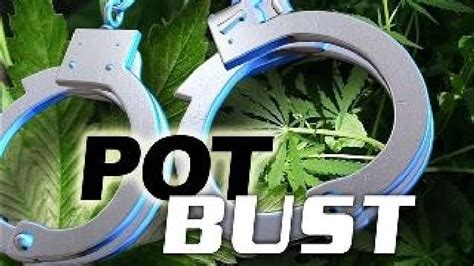 man found guilty in large pot bust