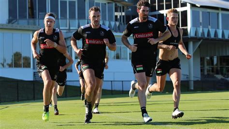 We did not find results for: AFL Grand Final 2018, West Coast vs Collingwood, magpies pre-season camp Gold Coast