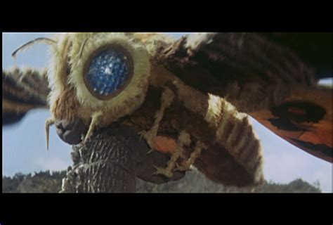 The kaiju invasion (大怪獣戦争, lit. Don't Fear Mothra - Her Eyes Inspired Your Glasses' Anti ...