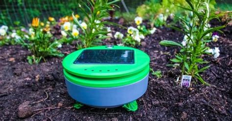 Gardening Robot Will Zap Weeds While You Sat Back And Enjoy The Weather