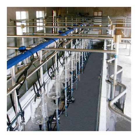 Cow Milking Parlour Zibo Lujin Machinery Factory Parallel