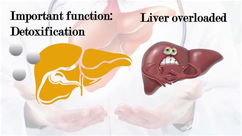 How To Take Care Of Our Liver Youtube