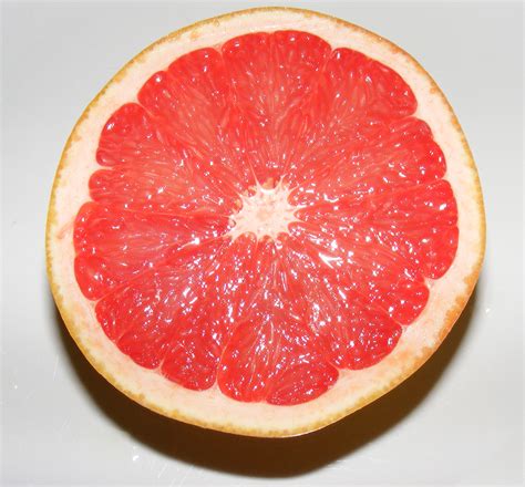 Filegrapefruit Half Wikipedia