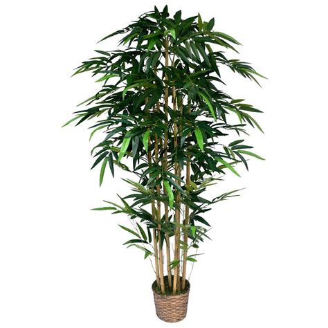 Laura Ashley 6 Ft Tall High End Realistic Silk Bamboo Tree With Wicker