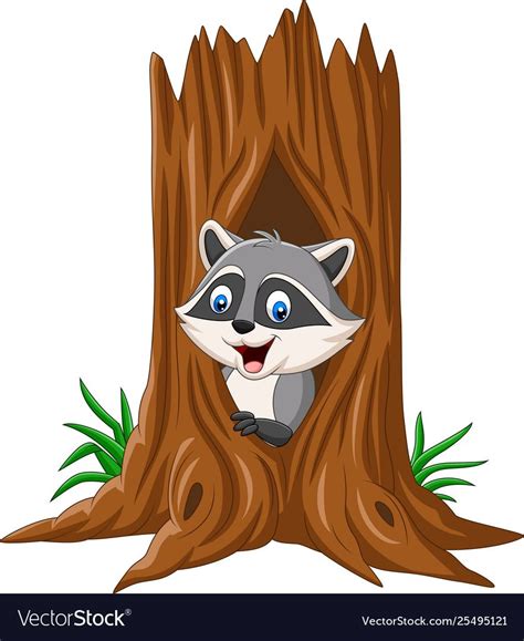 Cartoon Raccoon Sitting In Hollow A Tree Vector Image On Vectorstock