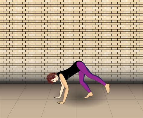 How To Do A Back Kickover 8 Steps With Pictures Wikihow