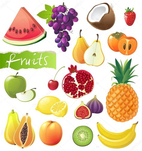 Fruits Set — Stock Vector © Martm 60042027