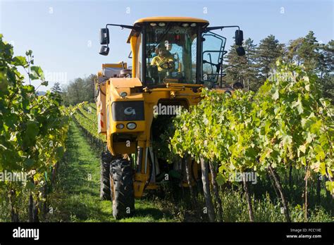 Grape Harvesting Machine Hi Res Stock Photography And Images Alamy