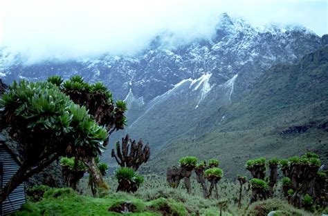 Photographs And Location Map Of The Rwenzori Range In Uganda In East Africa