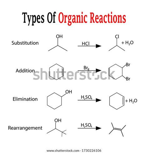 Types Organic Reactions Chemistry Science Atoms Stock Vector Royalty