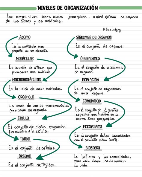 Niveles de organización biológica Puedes encontrarlo en mi página de Instagram bio studymj