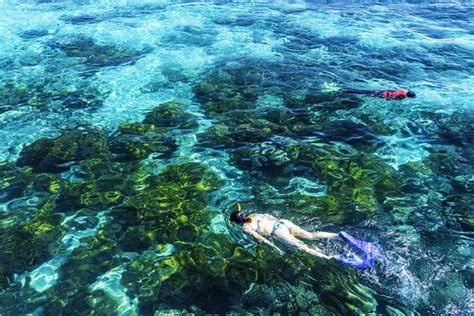 10 Best Great Barrier Reef Tours And Trips From Sydney Tourradar