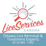 Lice Treatment Canada Images