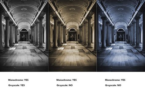 Monochrome Vs Grayscale Photography Key Differences