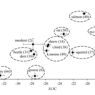 Values of δ 13 C and δ 15 N (í µí±¥ ̅ ± 95% CI) for each diet group... | Download Scientific Diagram