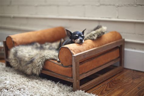Modern Pet Furniture That Will Look Great In Your Home