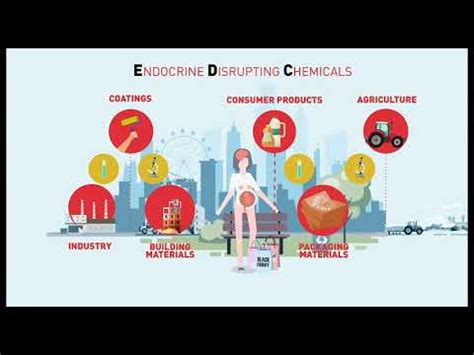 ENDPoiNTs Project To Identify Endocrine Disrupting Chemicals Inducing Developmental