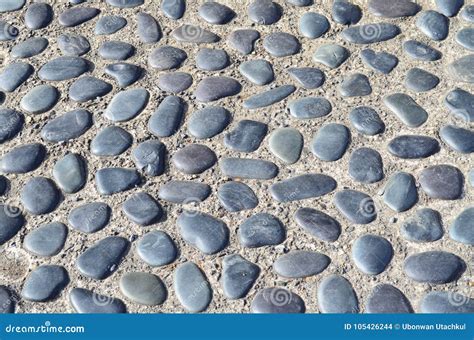 Pebble Stone In Cement Floor Tile Texture And Seamless Background Stock