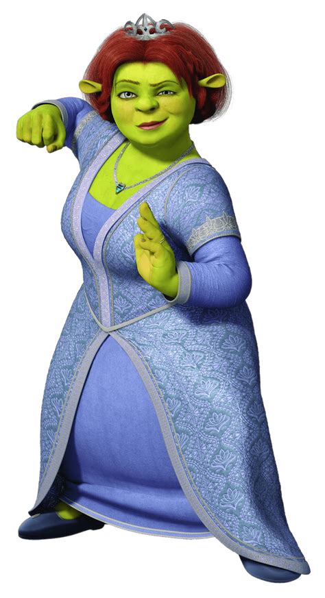 Princess Fiona Fighter Transparent Png Stickpng