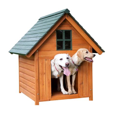 Dog House Png Image Purepng Free Transparent Cc0 Png Image Library