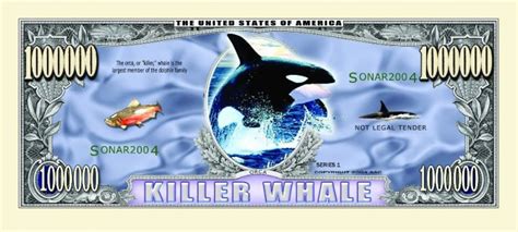 Feel free to post any comments about this torrent, including links to subtitle, samples, screenshots, or any other relevant information, watch billion dollar whale by tom wright online free full movies like 123movies, putlockers. Killer Whale One Million Dollar Bill - American Art Classics