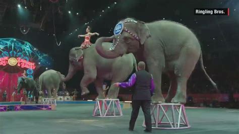 Ringling Bros Circus Elephants Perform Last Show Cnn