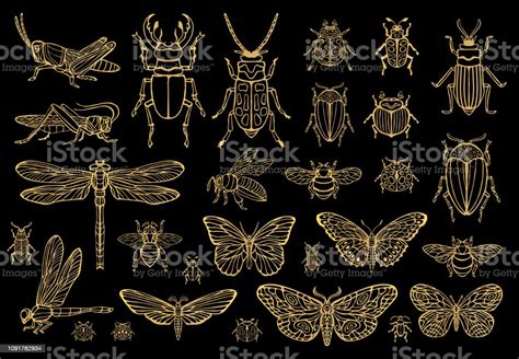 Big Hand Drawn Golden Line Set Of Insects Bugs Beetles Honey Bees Butterfly Moth Bumblebee Wasp