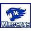 Wildcats New Logo  MY UK WILDCATS Pinterest Logos Shirts And The